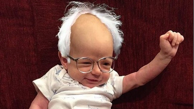 bernie sanders