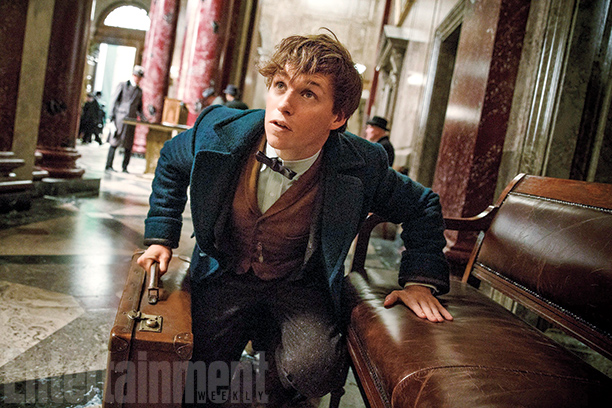fantastic beasts eddie redmayne